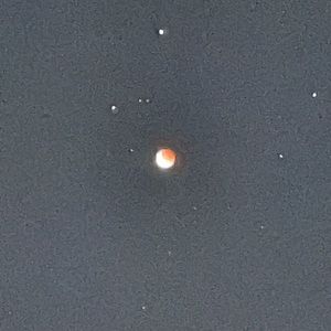 Meet your Posher, Sandy